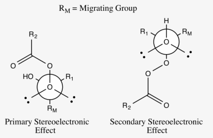 Baeyer-villiger Oxidation Stereoelectronic Effects - Baeyer Villiger Oxidation Stereoelectronic Effects, HD Png Download, Transparent PNG