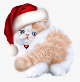 Tubes Noel Chat Cat - Baby Kitten Cats, HD Png Download, Transparent PNG