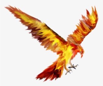 Phoenix Bird Tattoo Sketch Drawing - Fawkes The Phoenix Drawing, HD Png Download, Transparent PNG