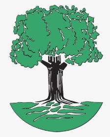 Tree With Roots Clip Art Free - Johann Pachelbel Family Tree, HD Png Download, Transparent PNG