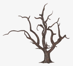 Tree , Png Download - Oak, Transparent Png, Transparent PNG