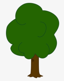 Oak Tree Clip Art - Simple Color Tree Drawing, HD Png Download, Transparent PNG