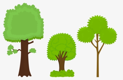 Plant,leaf,tree - Big Tree And Small Tree Clipart, HD Png Download, Transparent PNG
