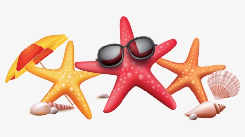Vector Color Seaside Starfish Sunglasses Creative - Summer Star Fish Png, Transparent Png, Transparent PNG