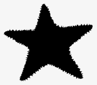 Starfish Silhouette Png - Macy's North Star Strategy, Transparent Png, Transparent PNG