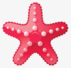Starfish Png - Estrela Do Mar Png, Transparent Png, Transparent PNG