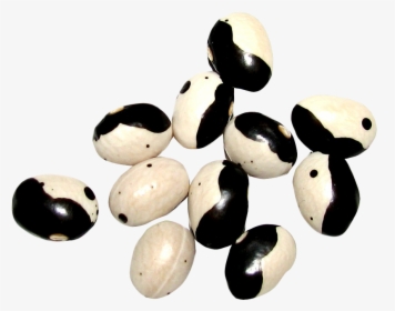 Yin Yang Beans Png Image - Yin And Yang, Transparent Png, Transparent PNG