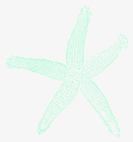 Tealgreen Starfish Svg Clip Arts - Estrela Do Mar Png, Transparent Png, Transparent PNG