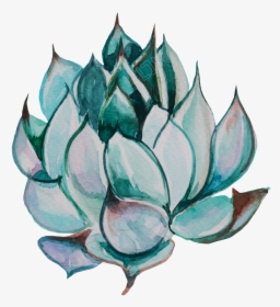 Cute Hand-painted Succulents Transparent - Transparent Watercolor Succulent Png, Png Download, Transparent PNG