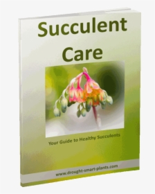 Succulent Care E-book - Present Continuous, HD Png Download, Transparent PNG