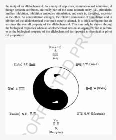 Schematic Representation Of Yin/yang Theory   - Yin Yang Representation, HD Png Download, Transparent PNG