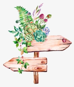 Succulent Plant Illustration Watercolor Signs Painting - Succulent Watercolor Png, Transparent Png, Transparent PNG