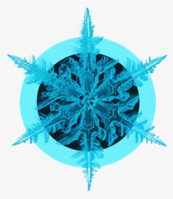 Blue Black Crystal Ice Flower Decorative Png And Psd - Png Ice Crystal, Transparent Png, Transparent PNG