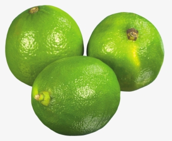 Lime, HD Png Download, Transparent PNG