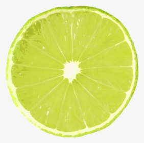 Lime Slice Lime Texture, HD Png Download, Transparent PNG