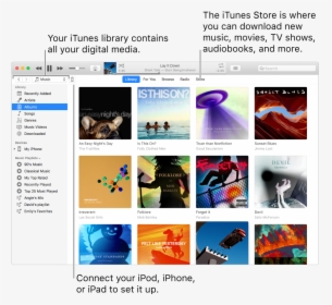 View Of The Itunes Window - Itunes, HD Png Download, Transparent PNG