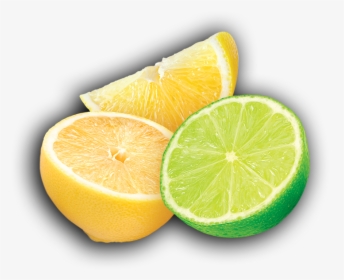 Lemon Lime - Lemon And Lime Clipart, HD Png Download, Transparent PNG