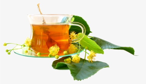 Herbal Tea Images Png, Transparent Png, Transparent PNG