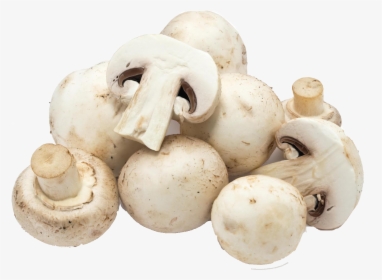 Mushroom Png Free Download - White Mushroom, Transparent Png, Transparent PNG