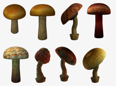 Mushroom Png Image - Portable Network Graphics, Transparent Png, Transparent PNG