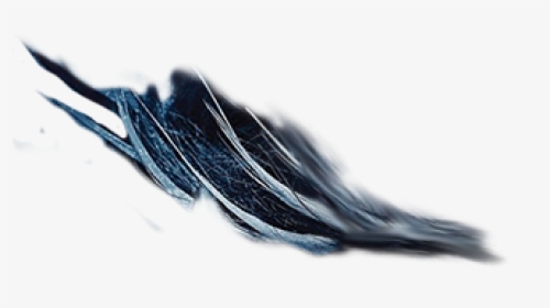 European Swallow, HD Png Download, Transparent PNG