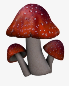 Red Mushroom Png - Fantasy Mushrooms Png, Transparent Png, Transparent PNG