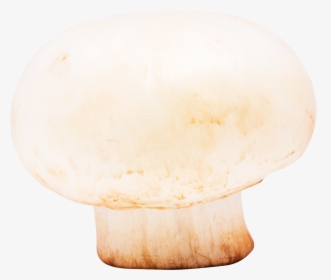 Mushroom - Wood, HD Png Download, Transparent PNG