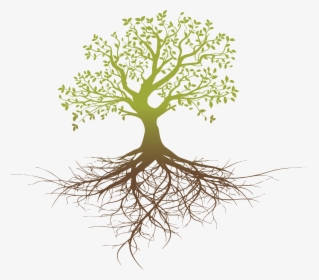Root System Tree Oak - Tree With Roots Silhouette Png, Transparent Png, Transparent PNG
