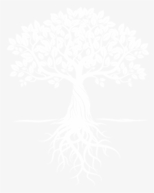 Transparent Tree Png Black And White - Rooted In Christ T Shirt, Png Download, Transparent PNG