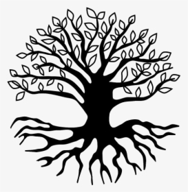 Tree With Deep Roots Png Clip Art - Yoga Tree Pose Drawing, Transparent Png, Transparent PNG