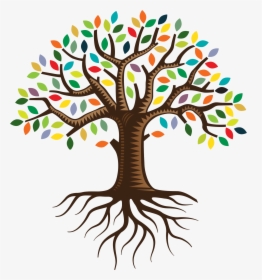 Collection Of Tree - Transparent Family Tree Clipart, HD Png Download, Transparent PNG