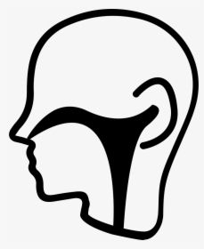 Ear Nose Throat Section - Ear Nose And Throat Icon, HD Png Download, Transparent PNG