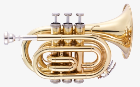 Transparent Trumpet Clipart Png - Pocket Trumpet, Png Download, Transparent PNG