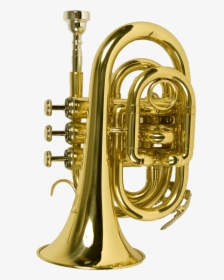 Trumpet Large - B Usa Trumpet, HD Png Download, Transparent PNG