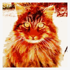 Barack The Cat Says Happy Birthday To Zelda Clip Arts - Cat, HD Png Download, Transparent PNG