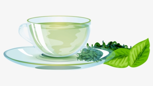 Green Tea Png Image Free Download Searchpng - Green Tea Png, Transparent Png, Transparent PNG