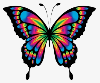 Free Photo Animal Colorful Butterfly Abstract Chromatic - Colorful Butterfly Clipart, HD Png Download, Transparent PNG