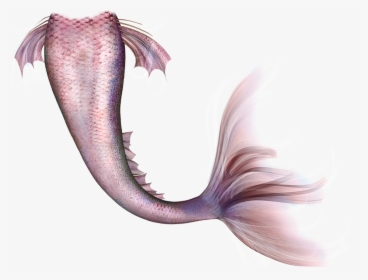 Mermaid Legendary Creature Fairy Tail - Mermaid Tail Png, Transparent Png, Transparent PNG