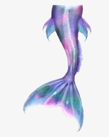 Mermaid Tails Png - Mermaid Tail Drawing, Transparent Png, Transparent PNG