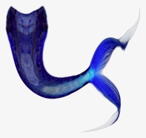 Share This Article - Mermaid Tail Cartoon Transparent, HD Png Download, Transparent PNG