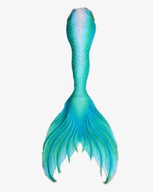 Blue Mermaid Tail 💙🍀 - Transparent Mermaid Tail Png, Png Download, Transparent PNG