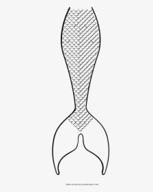 Mermaid Tail Coloring Page - Mermaid Tail Coloring Pages, HD Png Download, Transparent PNG