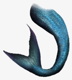 Pngs, Mermaids Tail, And For Wattpad Image - Mermaid Tail Png, Transparent Png, Transparent PNG