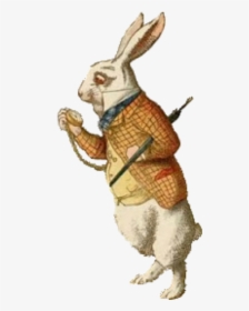 Transparent Alice In Wonderland Rabbit Png - Rabbit With Pocket Watch, Png Download, Transparent PNG
