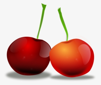 Custom Cherries Shower Curtain - Cherry Picture No Background, HD Png Download, Transparent PNG