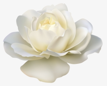Rose White Flower Png, Transparent Png, Transparent PNG