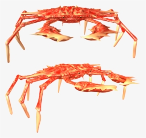 23718 - Freshwater Crab, HD Png Download, Transparent PNG