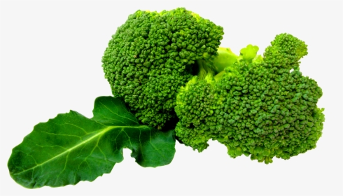 Vegetable Png - Broccoli Png, Transparent Png, Transparent PNG