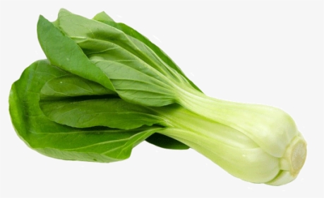 Vegetable,leaf Sum,leaf,flower,chinese Plant,spinach,romaine - Bok Choy In Italiano, HD Png Download, Transparent PNG
