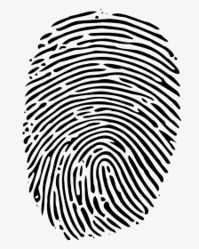 Fingerprint Png - Fingerprint Svg, Transparent Png, Transparent PNG